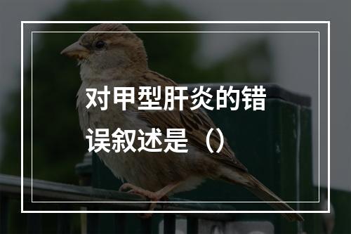 对甲型肝炎的错误叙述是（）