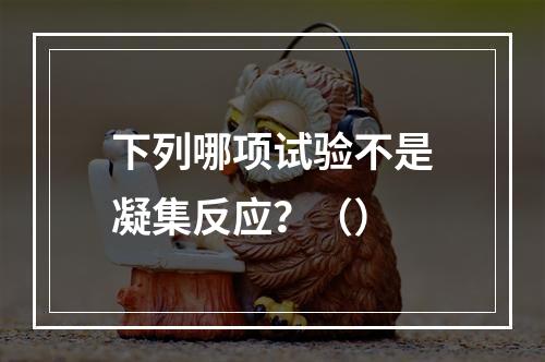 下列哪项试验不是凝集反应？（）