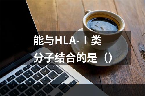 能与HLA-Ⅰ类分子结合的是（）