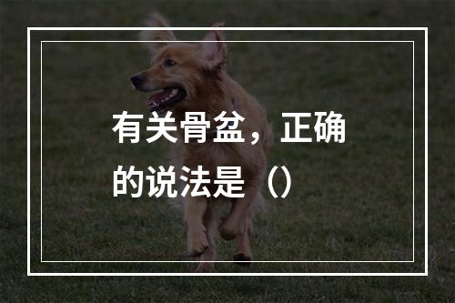 有关骨盆，正确的说法是（）