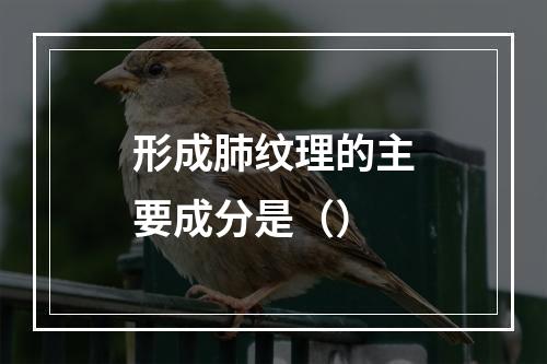 形成肺纹理的主要成分是（）