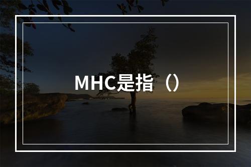 MHC是指（）