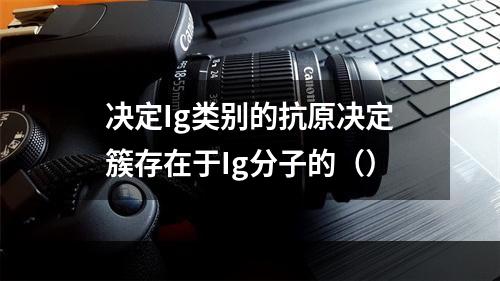 决定Ig类别的抗原决定簇存在于Ig分子的（）