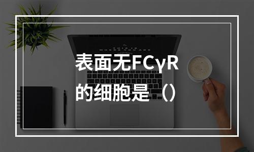 表面无FCγR的细胞是（）