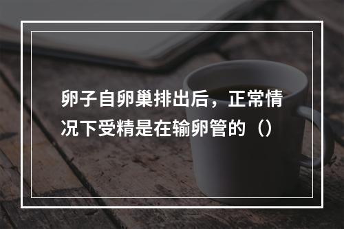 卵子自卵巢排出后，正常情况下受精是在输卵管的（）