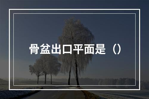 骨盆出口平面是（）