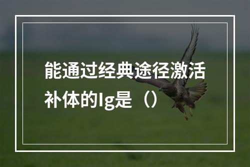 能通过经典途径激活补体的Ig是（）