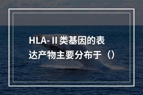 HLA-Ⅱ类基因的表达产物主要分布于（）