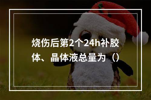 烧伤后第2个24h补胶体、晶体液总量为（）