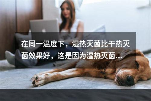 在同一温度下，湿热灭菌比干热灭菌效果好，这是因为湿热灭菌（）