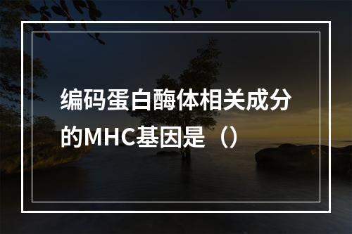 编码蛋白酶体相关成分的MHC基因是（）