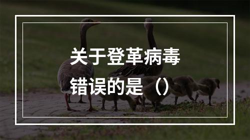 关于登革病毒错误的是（）