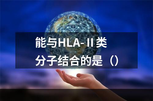 能与HLA-Ⅱ类分子结合的是（）