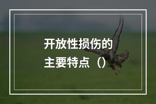 开放性损伤的主要特点（）