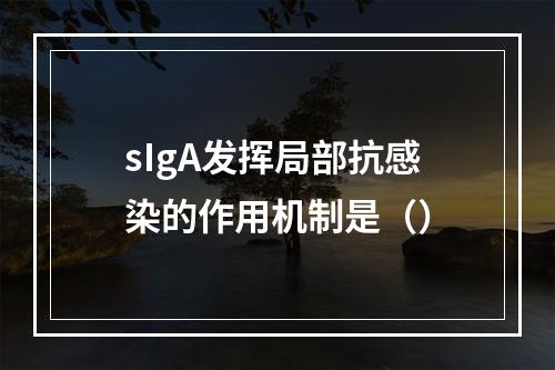 sIgA发挥局部抗感染的作用机制是（）