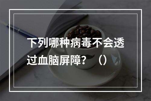 下列哪种病毒不会透过血脑屏障？（）