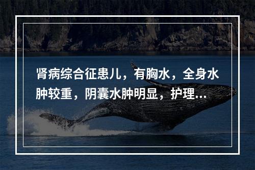 肾病综合征患儿，有胸水，全身水肿较重，阴囊水肿明显，护理该患