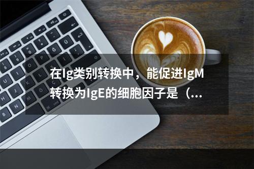 在Ig类别转换中，能促进IgM转换为IgE的细胞因子是（）