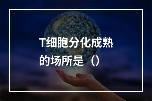 T细胞分化成熟的场所是（）