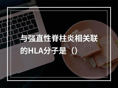 与强直性脊柱炎相关联的HLA分子是（）