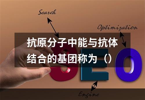 抗原分子中能与抗体结合的基团称为（）