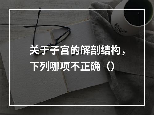 关于子宫的解剖结构，下列哪项不正确（）