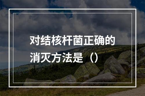 对结核杆菌正确的消灭方法是（）