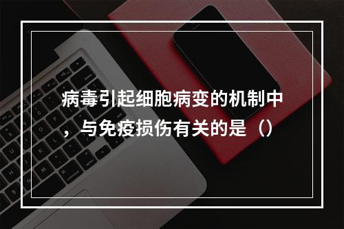 病毒引起细胞病变的机制中，与免疫损伤有关的是（）