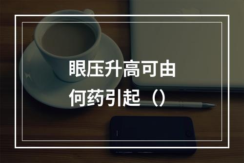 眼压升高可由何药引起（）