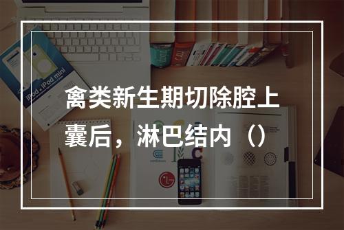 禽类新生期切除腔上囊后，淋巴结内（）