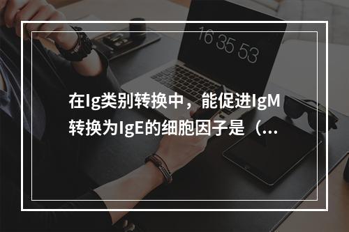 在Ig类别转换中，能促进IgM转换为IgE的细胞因子是（）