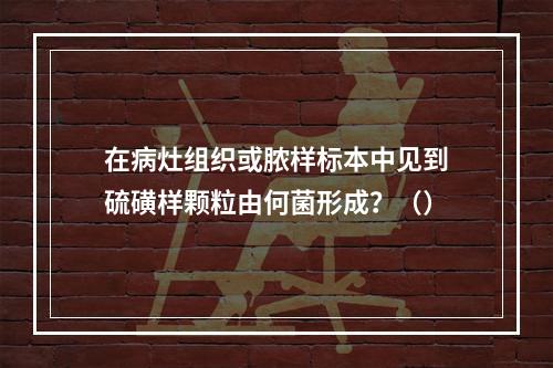 在病灶组织或脓样标本中见到硫磺样颗粒由何菌形成？（）