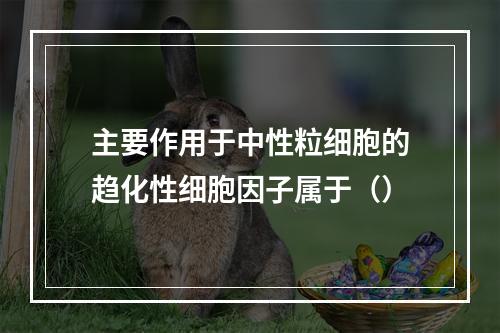 主要作用于中性粒细胞的趋化性细胞因子属于（）