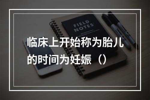 临床上开始称为胎儿的时间为妊娠（）