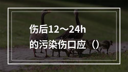 伤后12～24h的污染伤口应（）