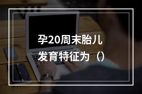 孕20周末胎儿发育特征为（）