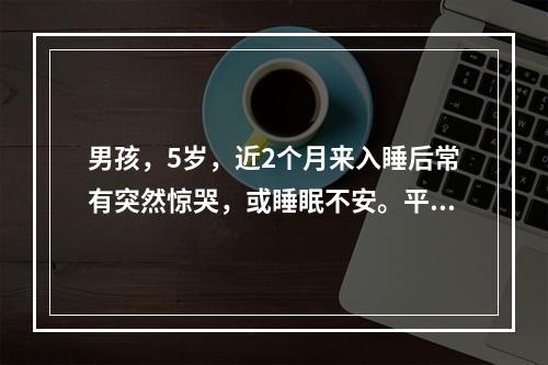 男孩，5岁，近2个月来入睡后常有突然惊哭，或睡眠不安。平时入