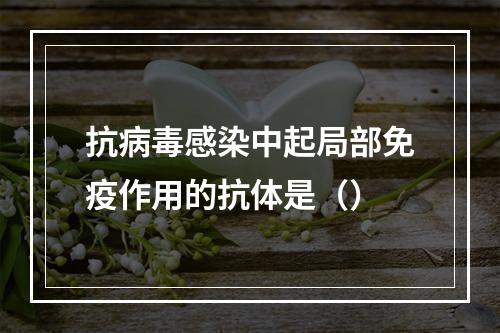 抗病毒感染中起局部免疫作用的抗体是（）