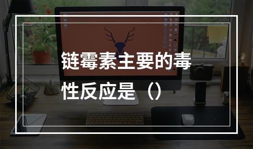 链霉素主要的毒性反应是（）