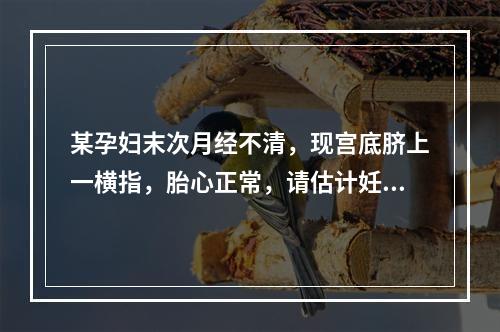 某孕妇末次月经不清，现宫底脐上一横指，胎心正常，请估计妊娠（