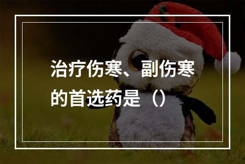 治疗伤寒、副伤寒的首选药是（）