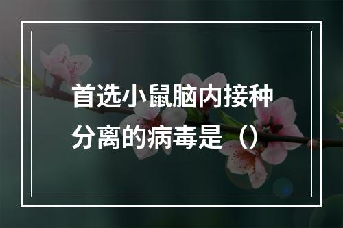 首选小鼠脑内接种分离的病毒是（）