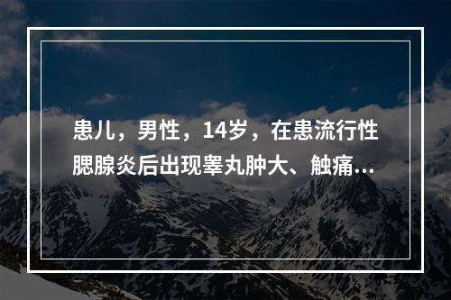 患儿，男性，14岁，在患流行性腮腺炎后出现睾丸肿大、触痛，诊