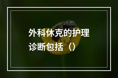 外科休克的护理诊断包括（）