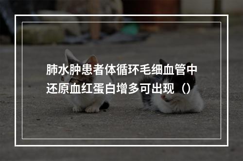 肺水肿患者体循环毛细血管中还原血红蛋白增多可出现（）