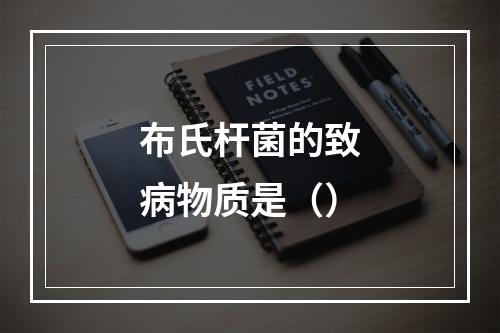 布氏杆菌的致病物质是（）