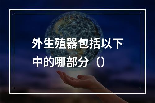 外生殖器包括以下中的哪部分（）