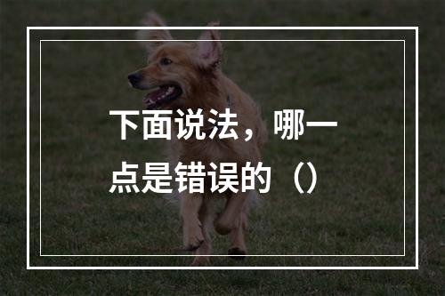 下面说法，哪一点是错误的（）