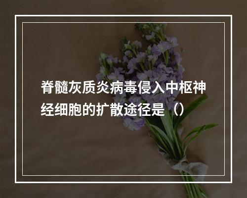 脊髓灰质炎病毒侵入中枢神经细胞的扩散途径是（）