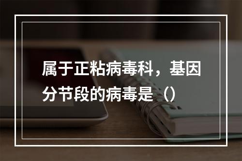 属于正粘病毒科，基因分节段的病毒是（）